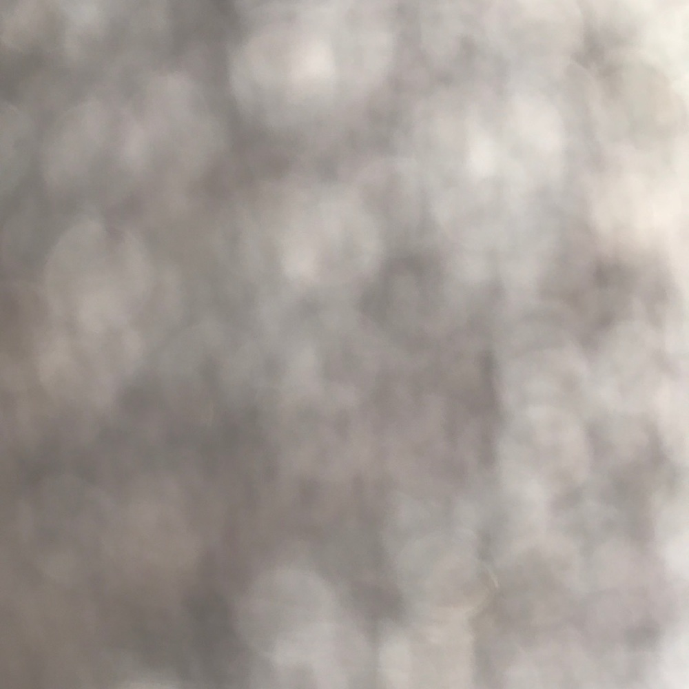 Meet your Posher, Jake